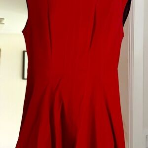 BNWOT ZARA Fit & Flare Red Skater Sleeveless Mock Neck Dress Medium